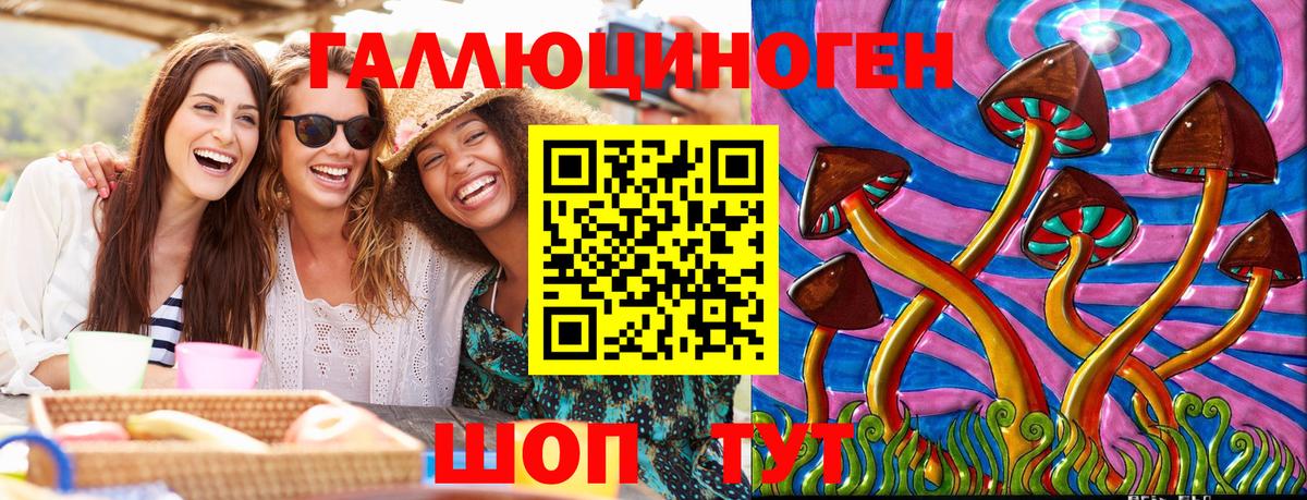 Галлюциногенные грибы Psilocybine cubensis  Вход с VPN  Кувандык 