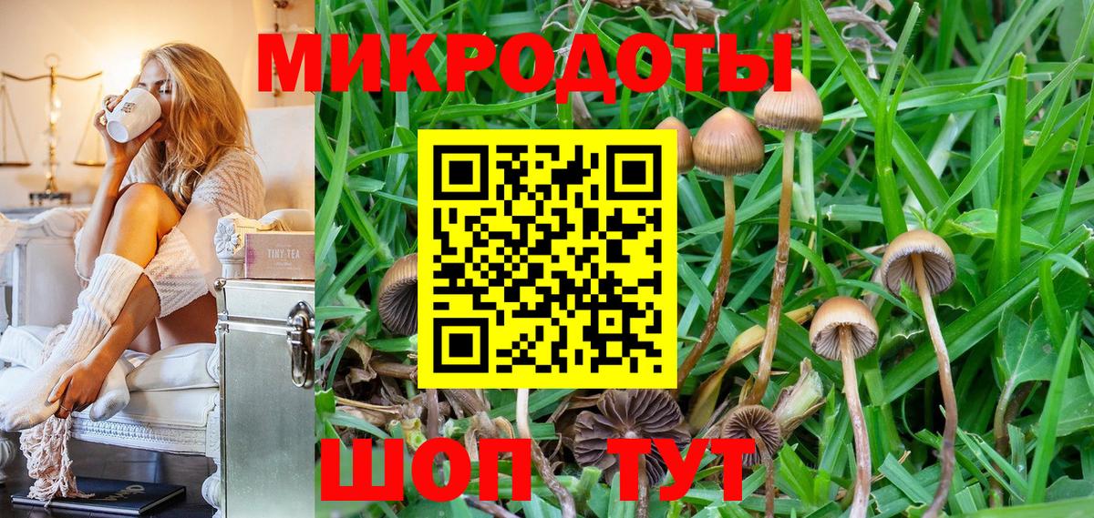 Галлюциногенные грибы Cubensis Кувандык